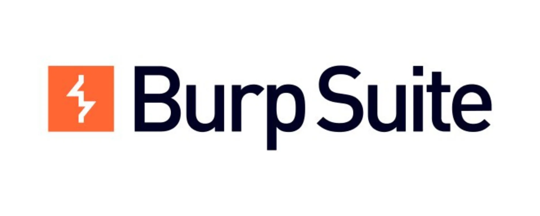 Burp Suite Logo